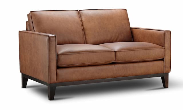 Pimlico Contemporary 100% Top Grain Leather Loveseat