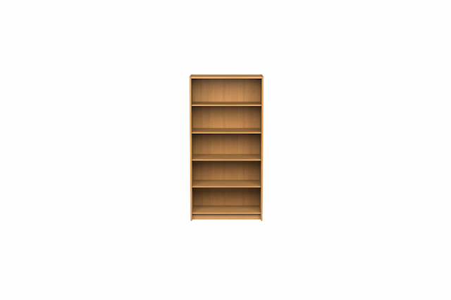 Shelves and Bookcases