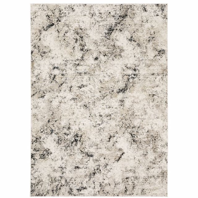 Nebulous 561E9 Ivory/ Grey Indoor Area Rug - 3'3" x 5'